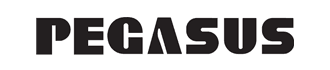 Pegasus